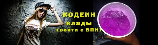 спиды Инсар