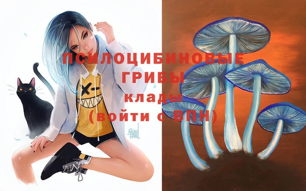 2c-b Александровское
