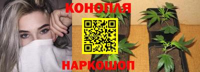 прущие крисы Ивантеевка
