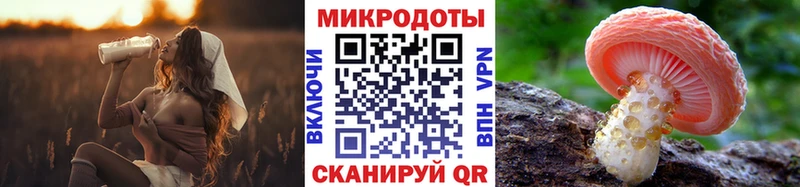 МЕГА онион  Тюмень  Псилоцибиновые грибы Cubensis 