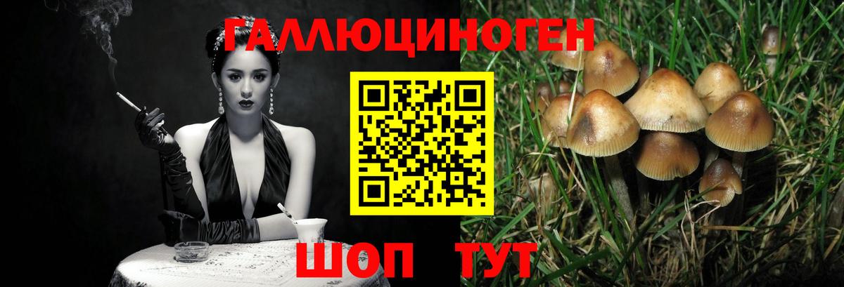 Тюмень  Галлюциногенные грибы Cubensis  Вход с VPN 